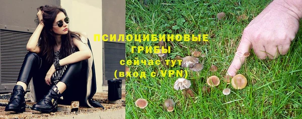 a pvp Верхний Тагил