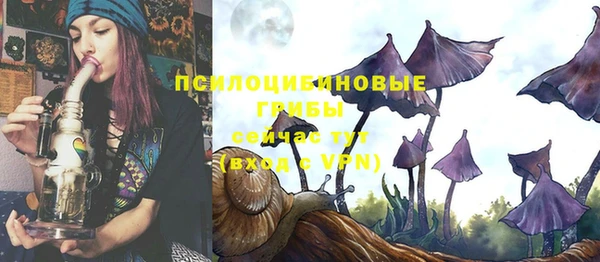 a pvp Верхний Тагил