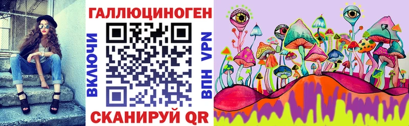 Купить  Дзержинск  Псилоцибиновые грибы Psilocybe 